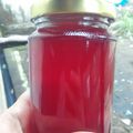 Cooksnap dari Novia Diana Ayu Wulandari untuk resep Es Sirup Kulit Buah Naga