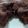Erica 's cooksnap of when they made Tinklee's Chocolate Chip Pudding Cookies.