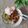 Cooksnap dari Yustine Alvin untuk resep Tahu campur surabaya