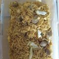 Cooksnap dari queenaralia untuk resep Bakmi jawa