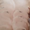 El cooksnap de Klaudia cuando hizo Vitel Toné.