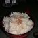 El cooksnap de Sandraeli cuando hizo Arroz con Coco.