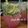 Swati Bharadwaj's cooksnap of when they made Pomegranate juice:.