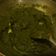 Vaishali Unadkat का कुकस्नैप जब उन्होंने शाही पालक पनीर (shahi paneer palak recipe in Hindi) बनाया था।