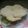 El cooksnap de Geraytere Monti cuando hizo Pan árabe o pan pita.
