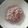Miss Fluffy's Cooking (Angie's Italian Cooking)'s cooksnap of when they made Strawberry Risotto.