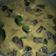 Cooksnap dari RumaisaAchsanudin untuk resep Gulai Becek Kambing Tulungagung