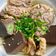 Cooksnap của Rose Truong khi họ làm theo món Bún bò Huế