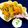 Harminder Kaur Sethi's cooksnap of when they made Chicken Biryani.