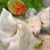Cooksnap dari Nova Stefany untuk resep Siomai ayam udang kuah