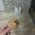 Cooksnap από GM7 στη συνταγή Μαλακά μπισκότα βανίλιας με κομμάτια σοκολάτας