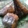 Cooksnap dari Lia Lia untuk resep Bandeng asap homemade