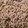 galina Webber's cooksnap of when they made Beef Stroganoff.