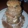 Cooksnap dari Hosnul Khotimah untuk resep Palm Sugar Choco chips Cookies