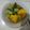 Cooksnap dari Fitri Apri untuk resep "Sayur Asem"