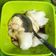 Cooksnap dari Shofia untuk resep Bubur sumsum