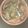 El cooksnap de pily cuando hizo Mejillones en Salsa Picante.