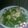 ummusabeer's cooksnap of when they made Green Salad.