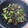 El cooksnap de David Perez Llorente cuando hizo Brócoli salteado con champiñones y gambas.