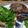 Eduardo Carrara de Araujo's cooksnap of when they made Dry aged sirloin, green salad, horseradish dressing.