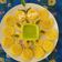 Saroj Shah's cooksnap of when they made દૂધીના ઢોકળા (Dudhi Dhokla Recipe In Gujarati).