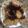 El cooksnap de Evalopez cuando hizo Galletas de avena y frutos secos.