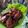 Cooksnap dari Izzas Putri untuk resep Ayam Bakar STKM (Saos Teriyaki Kecap dan Madu)