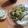 El cooksnap de Rociio Gonzalez cuando hizo Churrascos de pollo con verduras salteadas y huevo.