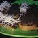 Cooksnap dari Agatha Edogawa untuk resep Nugget pisang