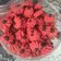 Cooksnap dari Vitri untuk resep Semprit Red Velvet (tanpa telur)