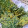 Cooksnap dari Imelda (Dapur Momji) untuk resep Kripik Bayam Kriuk