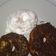 Cooksnap dari Frambudi untuk resep Donat super yummy lembut dan montok