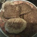 El cooksnap de Valeria Moracardozo cuando hizo Galletitas dulces de avena 🍪.