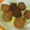El cooksnap de Yanii🥞🍕🍞🍗🍖🥐🥒🌶️🥣🥗🥘🍲🍝🎂🍩🍪🍮🥧 cuando hizo Falafel.