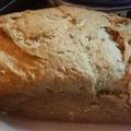 El cooksnap de Eugenia cuando hizo Pan lactal integral con semillas.