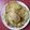 Cooksnap Syii semasa beliau membuat Lempeng Cicah Susu Manis.