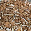 Cooksnap Erma Yusnida semasa beliau membuat Kuey Teow Goreng PKP.