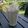 Cooksnap de Alexis Leroux sur la recette ☆Limonade Crémeuse☆