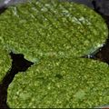 El cooksnap de Pedro Angel Lazarte cuando hizo Hamburguesas vegetarianas de espinaca! (Saludables) MUY Fáciles.