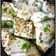Payal Sachanandani (payal's kitchen)'s cooksnap of when they made સુરતી ઇદડા (Surti Idada Recipe In Gujarati).