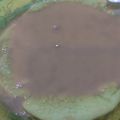 Cooksnap dari Aurira Thrisna untuk resep Serabi Kuah Kinca