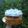 El cooksnap de CamiSido cuando hizo Rogel, tradición Argentina 🇦🇷.