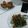 Cooksnap dari Niti Rahayu untuk resep Plecing kangkung (pedes seger)