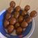 Cooksnap dari yuli sugiartini untuk resep Sate Telur Puyuh Bacem