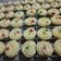 Cooksnap dari Nawä Cewe'x Angel untuk resep Kue Semprit Tapioka Susu