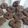 Cooksnap dari Tria Ariyanti untuk resep Jelly cookie Chocochip
