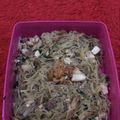 Cooksnap dari Effie Bayuningsih untuk resep Misua goreng