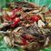 Cooksnap dari Sinta untuk resep SUWIR TONGKOL BUMBU RICA