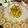 Radhika Shaparia's cooksnap of when they made Raw Banana Curry.