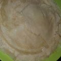 Cooksnap dari ika madayanti untuk resep Kulit Lumpia (Tipis, Anti Gagal & Anti Sobek) 🌯